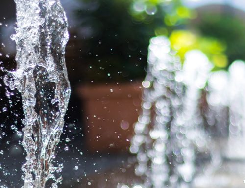 Wasser